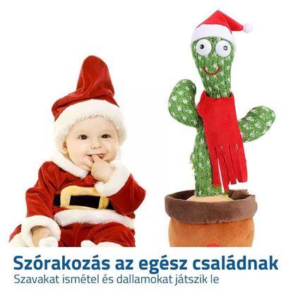 Kép Éneklő és táncoló kaktusz