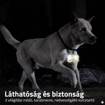 Kép Világító LED kulcstartó nyakörvre