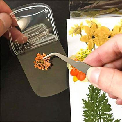 Kép valamiből DIY herbárium - szárított virág matricák