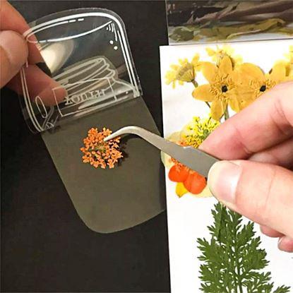 Kép DIY herbárium - szárított virág matricák